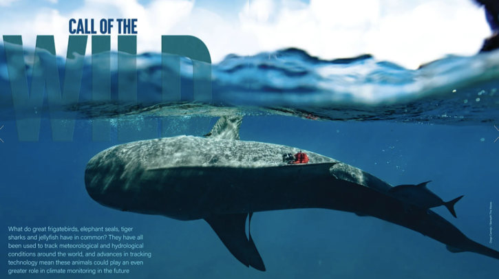 What do great frigatebirds, elephant seals, tiger sharks and jellyfish have in common? They have all been used to track meteorological and hydrological conditions around the world, and advances in tracking technology mean these animals could play an even greater role in climate monitoring in the future.