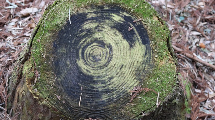 A team from the Climate Adaptation Services Foundation, the University of Reading and other international institutions has published a study in Nature Communications, which set out to bring together methods to see beyond the limitations of conventional weather records, which typically only cover the past century.