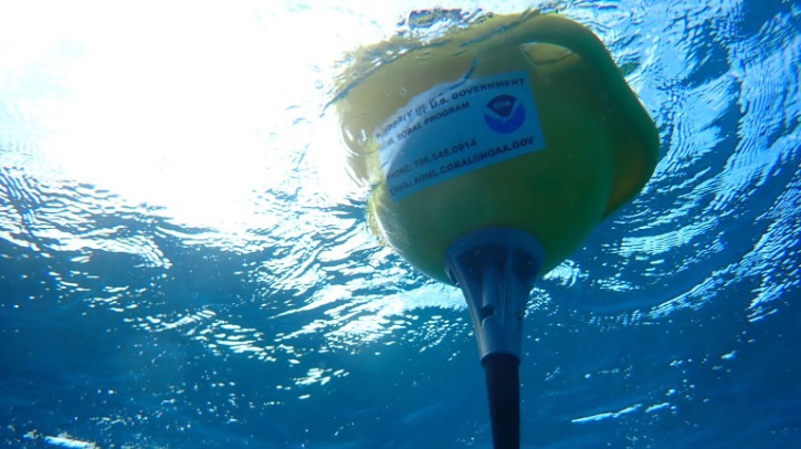 Scientists at NOAA’s Atlantic Oceanographic and Meteorological Laboratory (AOML) and the Cooperative Institute for Marine and Atmospheric Sciences (CIMAS) have deployed a series of Sofar “Spotter” buoys at four of the seven Mission: Iconic Reefs within the Florida Keys National Marine Sanctuary (FKNMS) identified as essential sites for restoration.