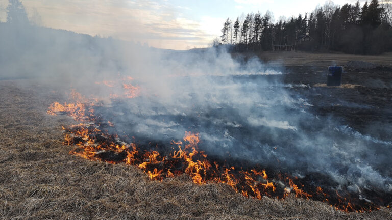 FMI replaces grass and forest fire warnings with wildfire warnings