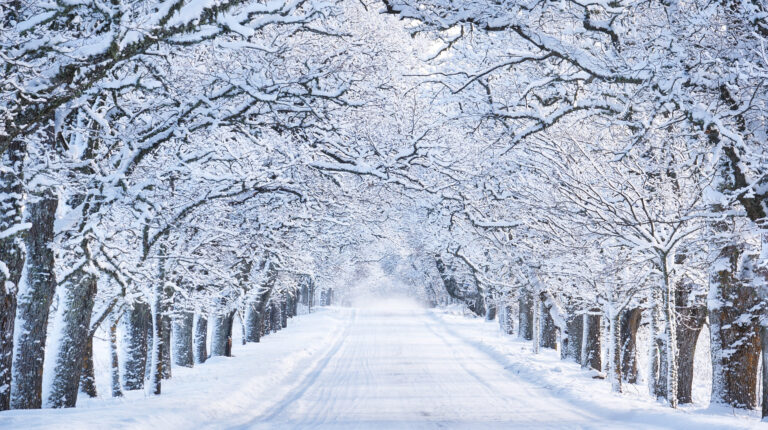 Snowflake motion analysis could improve rain forecasts, University of Reading reports.