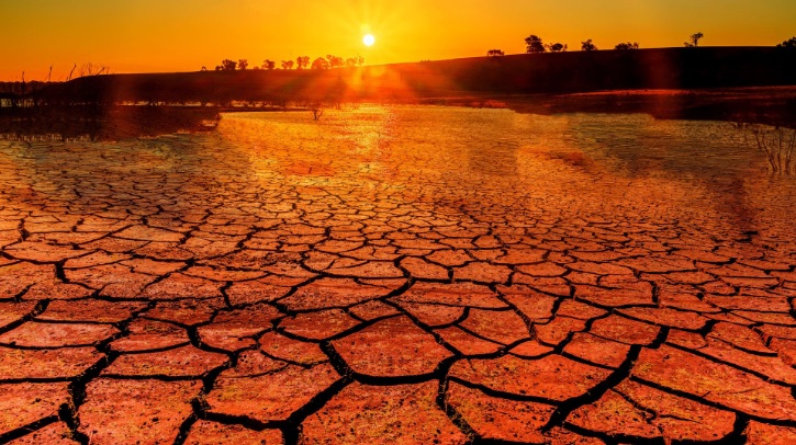 According to the World Meteorological Organization (WMO), the year 2024 is set to be the warmest on record, capping a decade of unprecedented heat.