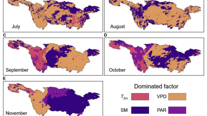 A team of researchers from the China University of Geosciences (Wuhan), the Institute of Geographic Sciences and Natural Resources Research (CAS), and East China Normal University have introduced a solar-induced chlorophyll fluorescence (SIF) model to track drought effects in real-time.