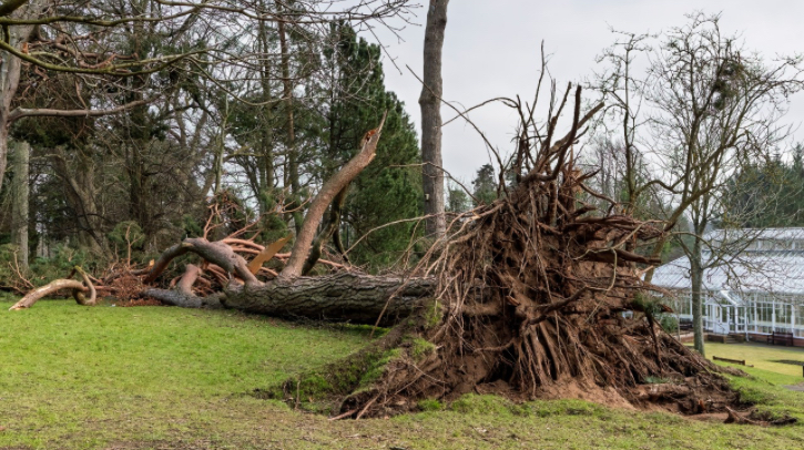 A team of researchers – led by Colin Manning, research associate at Newcastle University and visiting scientist at the Met Office – have published a study, “Antecedent rainfall, wind direction and seasonal effects may amplify risk of wind-driven power outages,” which highlights that incorporating the additional factors into a statistical model, alongside wind speed, greatly enhances the predictive accuracy of power outages during windstorms.  