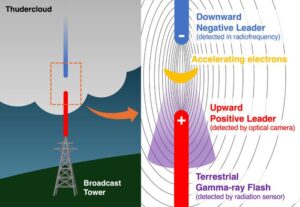 A schematic of a downward terrestrial gamma-ray flash associated with a collision of leaders.