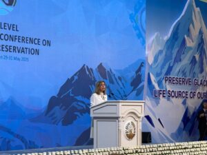 Prof. Celeste Saulo speaks during the International Conference on Glaciers’ Preservation