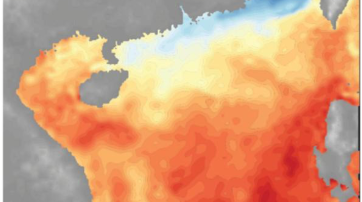 A heat map graph shows the sea temperature in the South China Sea.