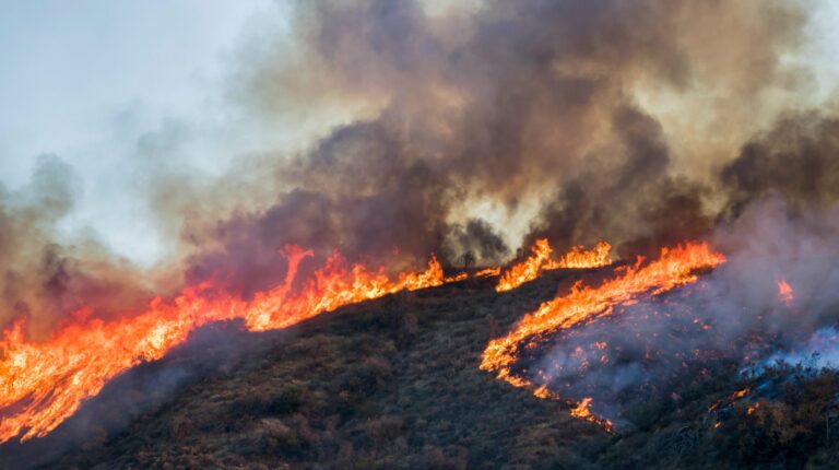 A wildfire burns on a hill, with smoke billowing into the sky