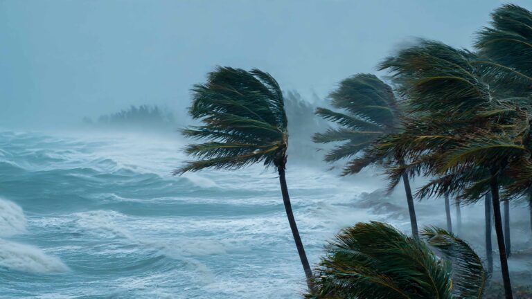 A storm blows trees and creates large waves on a coastal landscape