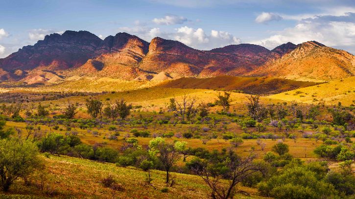 A scenic shot of the Australian Outback with some bushes in teh foreground, dry grass and rolling hills and peaks in the distance.