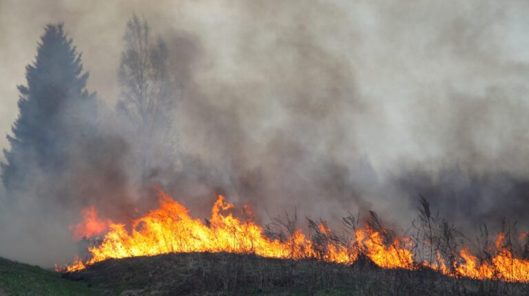 A wildfire risk burns with flames and smoke reaching high into the sky.