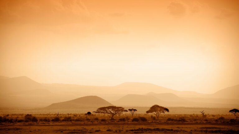 African savannah at sunrise.