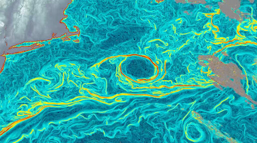 A visualization of the information provided by the Scripps Institution of Oceanography GOFlow AI tool that uses weather satellite data to map ocean currents in near real time.